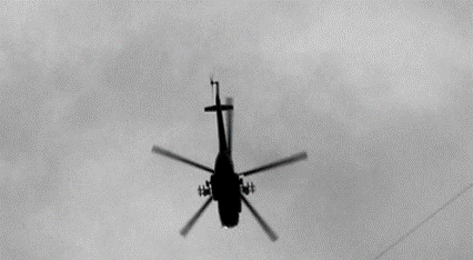 На Зеландію! - pic_10.png