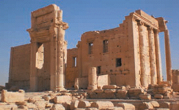 На Зеландію! - pic_17.png