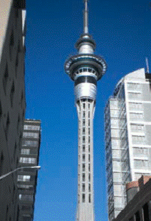 На Зеландію! - pic_24.png