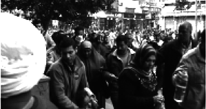 На Зеландію! - pic_7.png