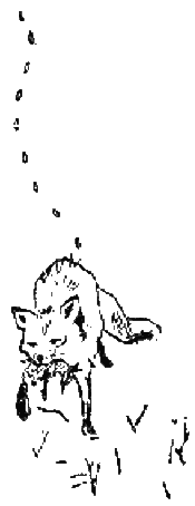 Серебряные зори - i_010.png