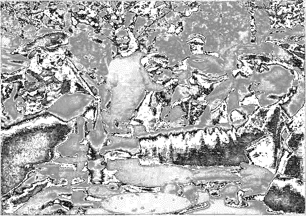 ПОД НЕМЦАМИ. Воспоминания, свидетельства, документы - _11.png