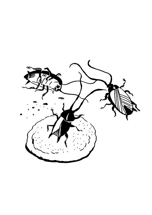 Ведьма Страны Туманов - i_031.png