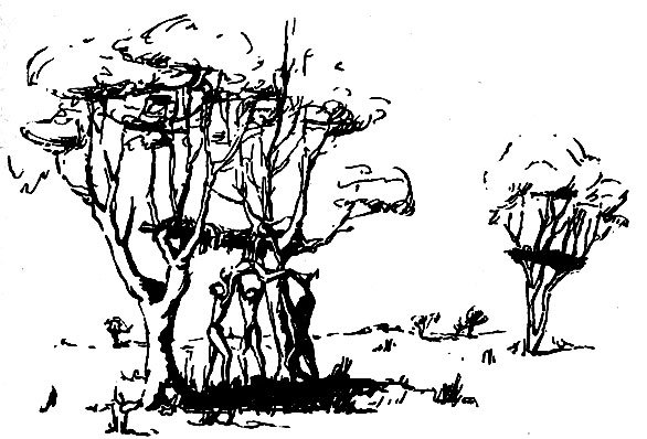 Канака — люди южных морей - i_018.jpg