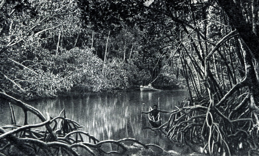 Канака — люди южных морей - i_020.jpg