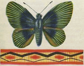 1001 день в Рио-де-Жанейро - i_036.png