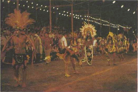 1001 день в Рио-де-Жанейро - i_059.png