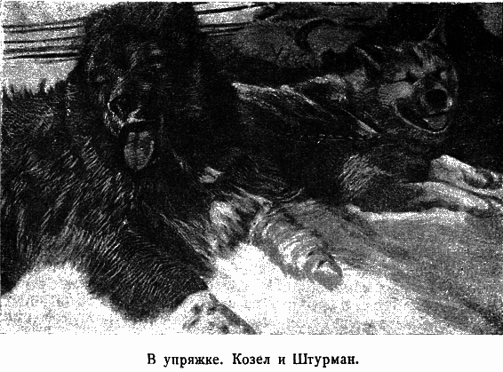 Два года на северной земле - i_035.png