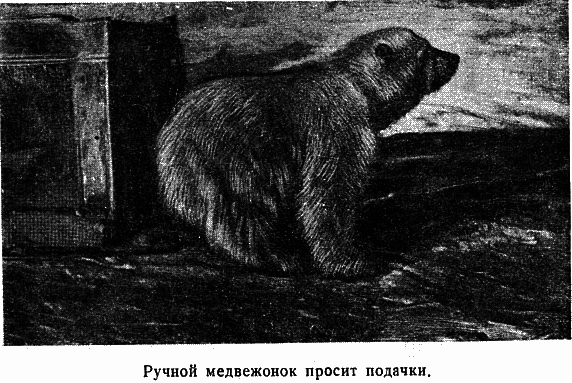 Два года на северной земле - i_037.png