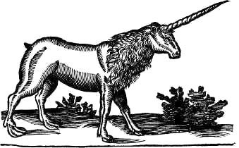 Сафари под Килиманджаро - i_010.jpg