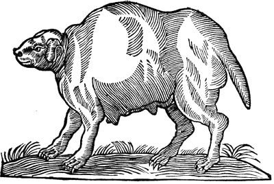 Сафари под Килиманджаро - i_013.jpg