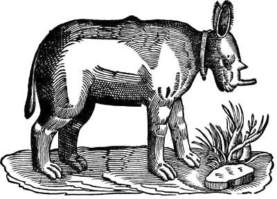 Сафари под Килиманджаро - i_014.jpg