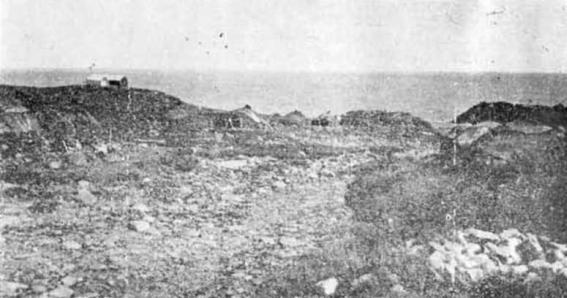 Остров метелей - i_007.jpg