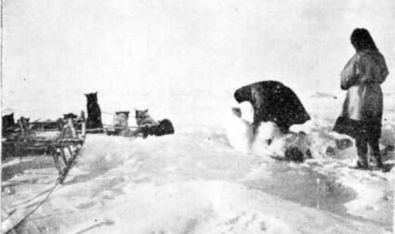 Остров метелей - i_012.jpg