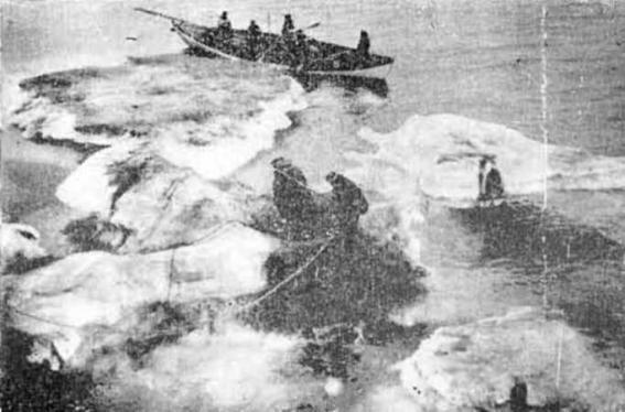 Остров метелей - i_015.jpg