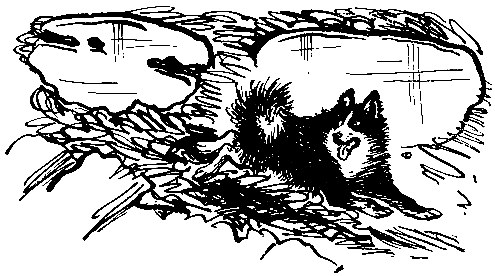 Преданье старины глубокой (худ. В.Лосин) - pic_15.png