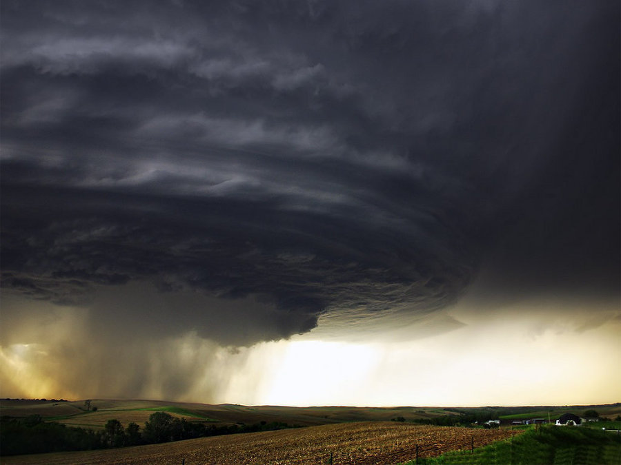 Основы безопасности жизнедеятельности. 7 класс - Smerch2.jpg