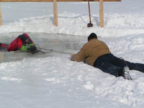 Основы безопасности жизнедеятельности. 7 класс - Polyniya.jpg