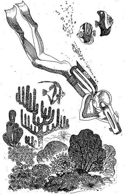 Проделки Лесовика - i_027.jpg