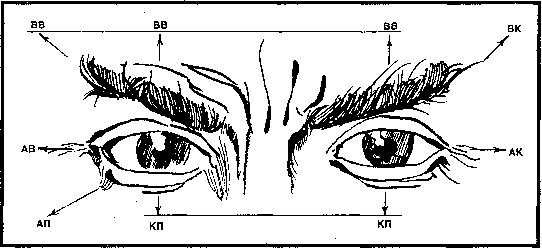 Своя разведка - image1.png