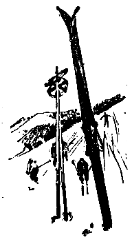 Приключения Травки - pic_34.png