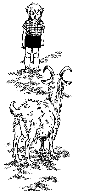 Адам и Отка - pic_11.png