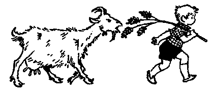 Адам и Отка - pic_72.png