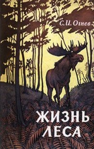 Жизнь леса - Огнев Сергей Иванович