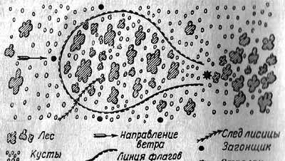 Лисица - img_17.png