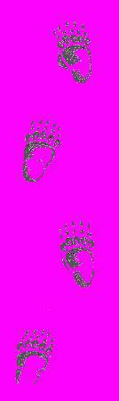 А.Н. Формозов Спутник следопыта - _16.jpg