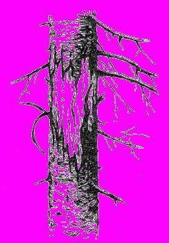 А.Н. Формозов Спутник следопыта - _17.jpg