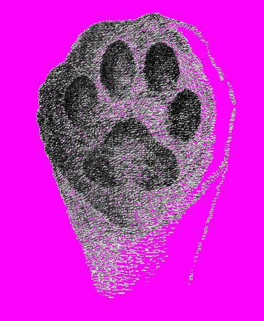 А.Н. Формозов Спутник следопыта - _19.jpg