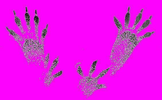 А.Н. Формозов Спутник следопыта - _41.jpg