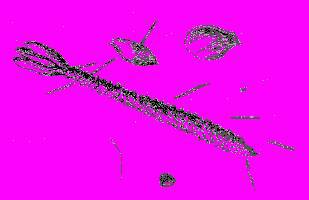 А.Н. Формозов Спутник следопыта - _44.jpg