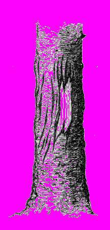 А.Н. Формозов Спутник следопыта - _18.jpg