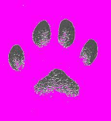 А.Н. Формозов Спутник следопыта - _21.jpg