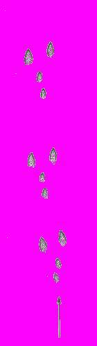 А.Н. Формозов Спутник следопыта - _28.jpg