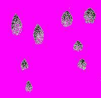 А.Н. Формозов Спутник следопыта - _33.jpg