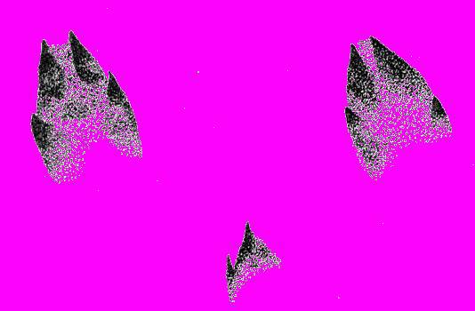 А.Н. Формозов Спутник следопыта - _40.jpg