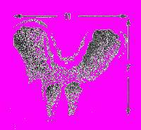 А.Н. Формозов Спутник следопыта - _42.jpg