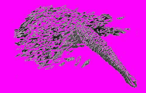 А.Н. Формозов Спутник следопыта - _45.jpg