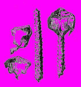 А.Н. Формозов Спутник следопыта - _47.jpg