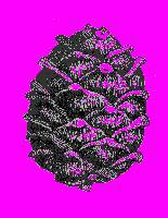 А.Н. Формозов Спутник следопыта - _50.jpg