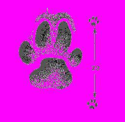 А.Н. Формозов Спутник следопыта - _22.jpg