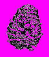 А.Н. Формозов Спутник следопыта - _52.jpg