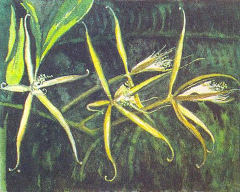 Где у растения дом - _42.jpg