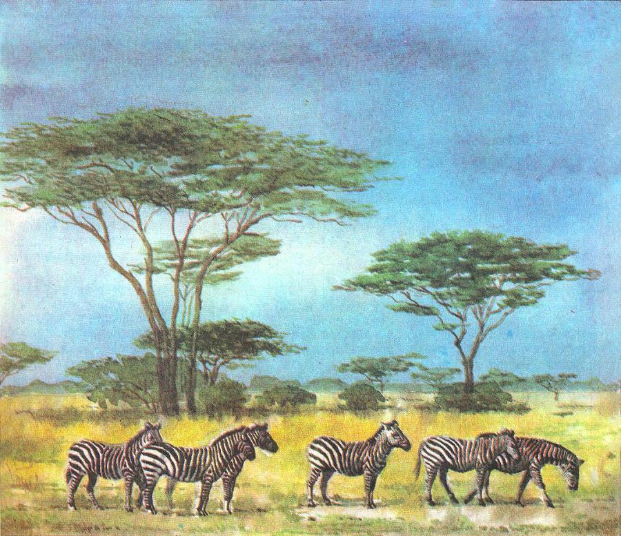 Где у растения дом - _6.jpg