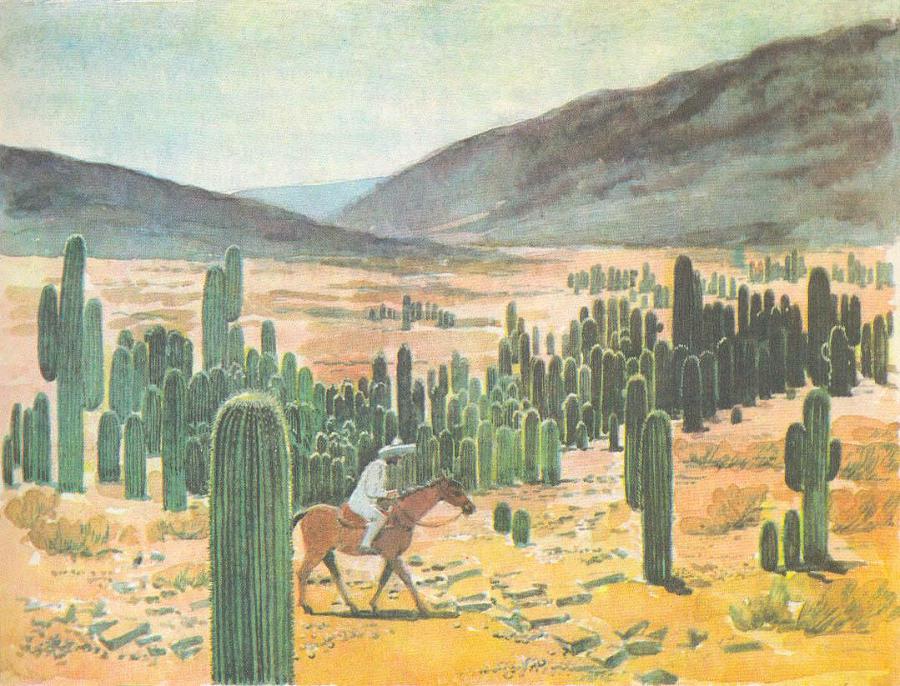 Где у растения дом - _26.jpg