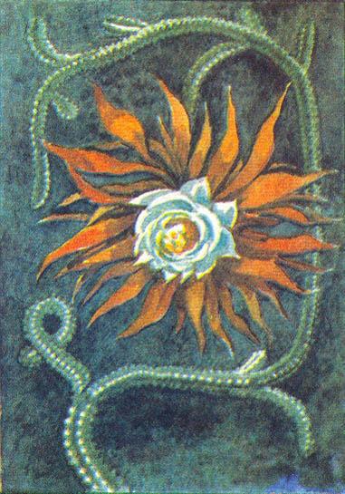 Где у растения дом - _29.jpg