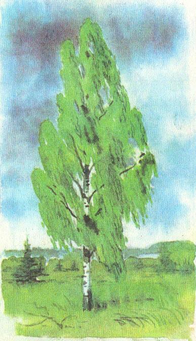 Где у растения дом - _10.jpg